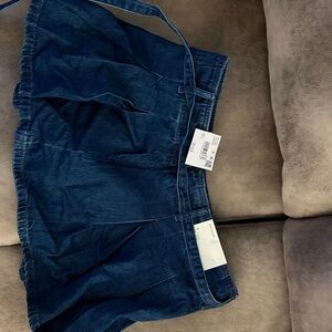 American Eagle Outfitters Blue Mini Skirt